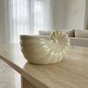 Nautilus Shell tissue box