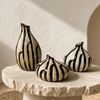 Zebra Stripe Trio