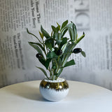 Golden Olive Planter - Figi Home
