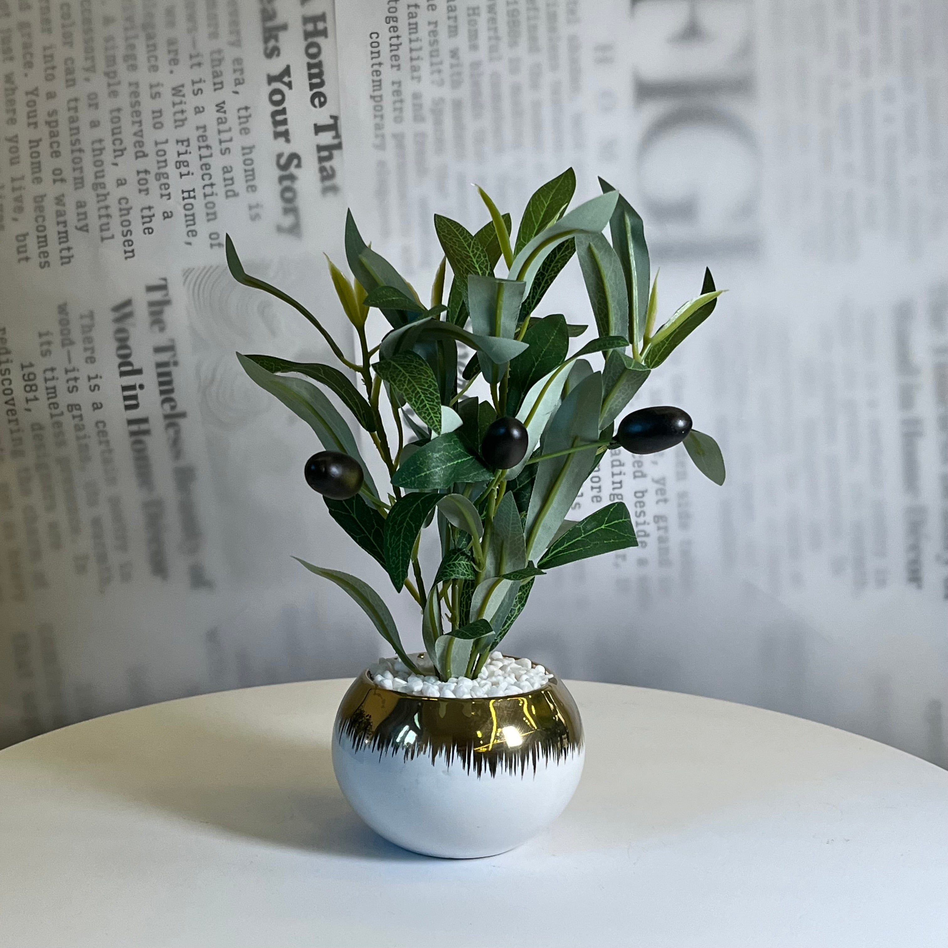 Golden Olive Planter - Figi Home