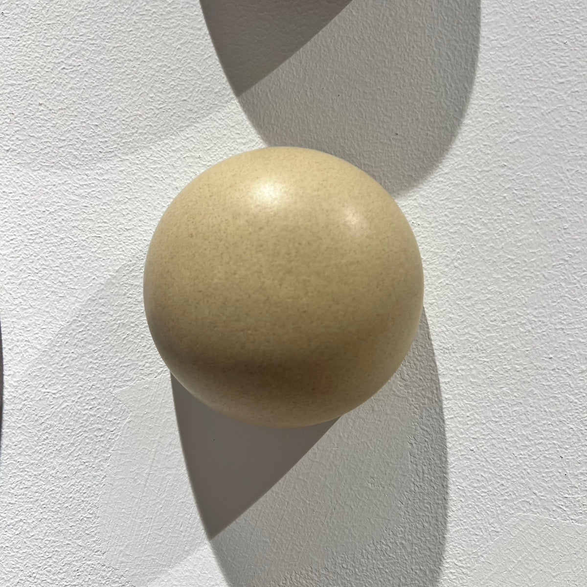 Orbit Wall Domes