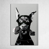 Alpha Instinct - Figi Home