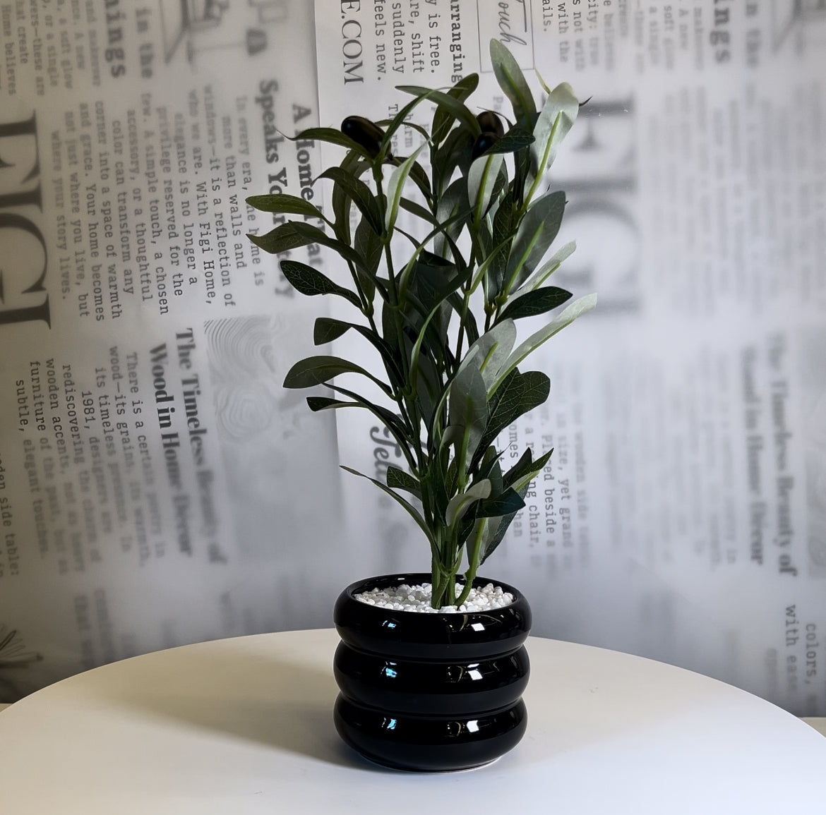 Midnight Olive Planter - Figi Home