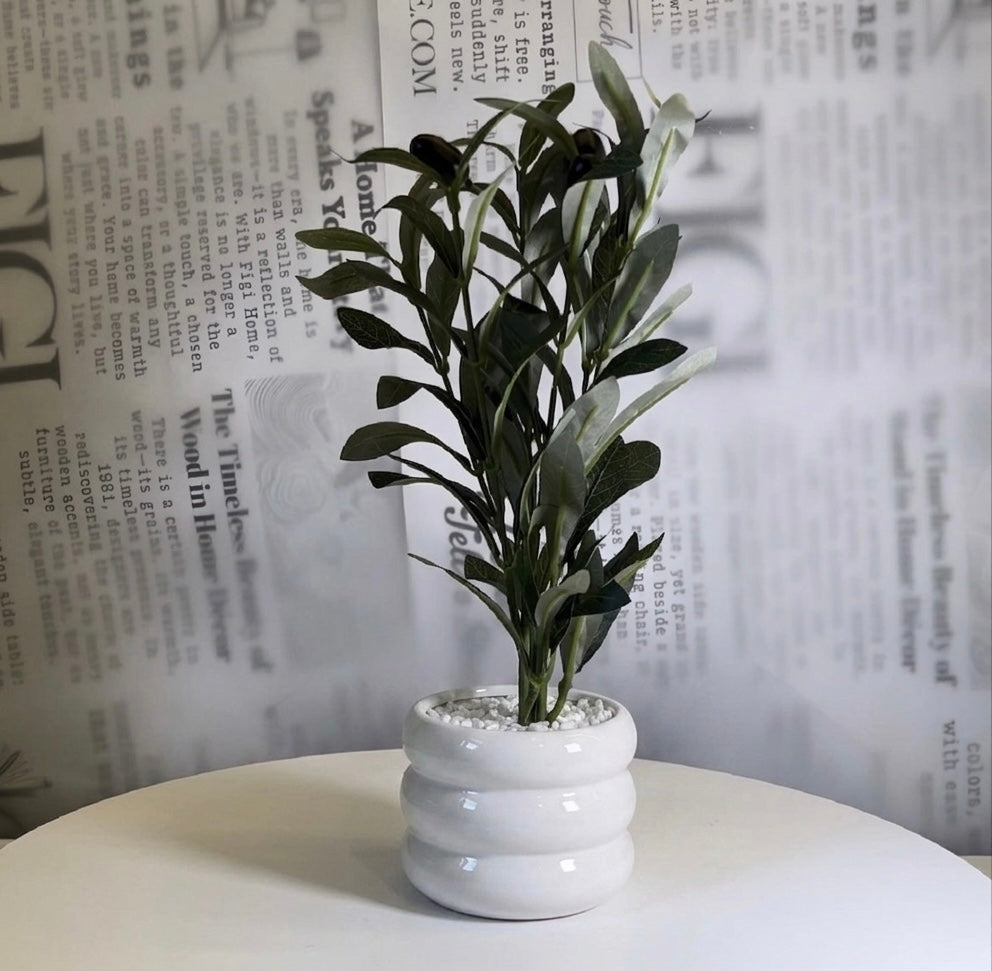 Midnight Olive Planter