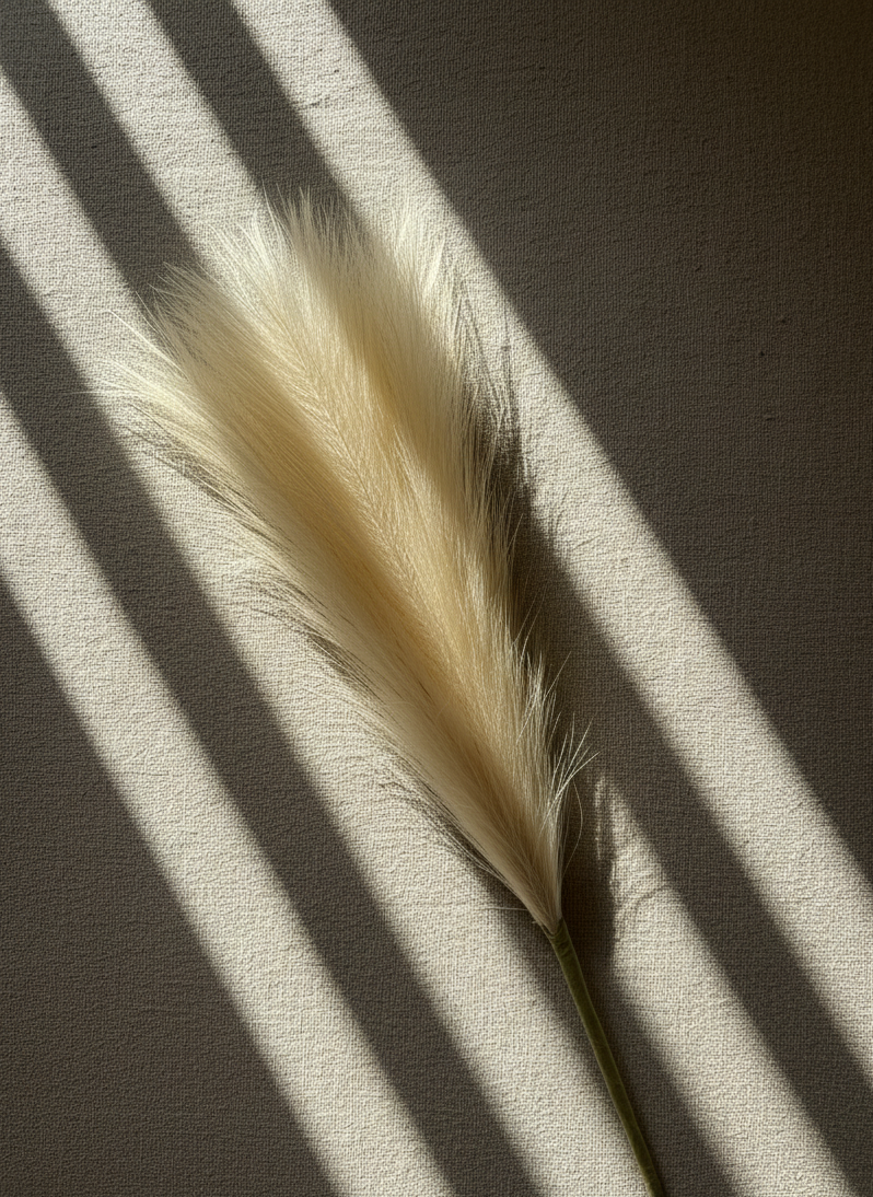 Tall Pampas Grass Stem