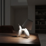 Ballon Light Lamp