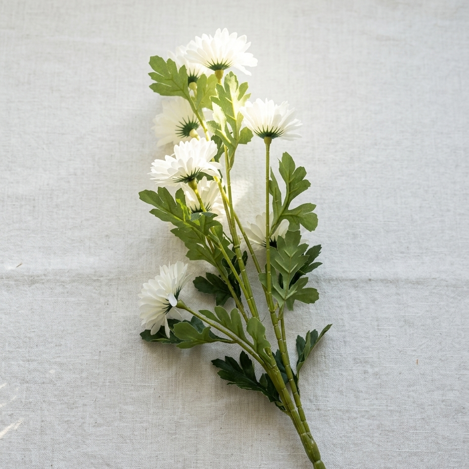 White Daisy Stem