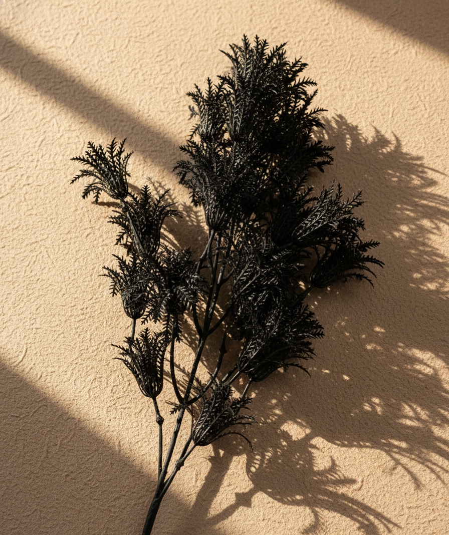 Noir Fern Stem