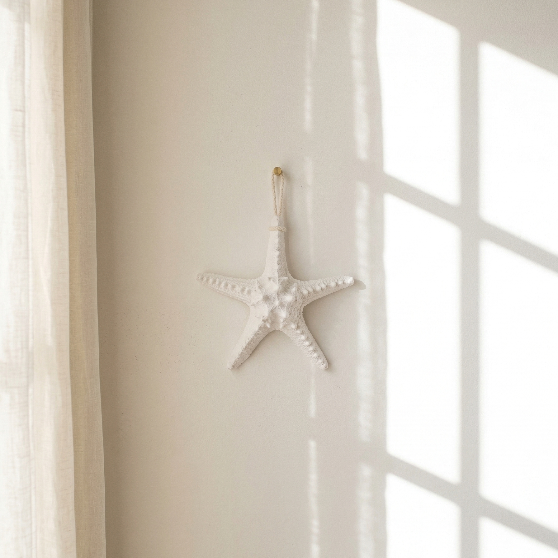 Starfish Wall Hanging
