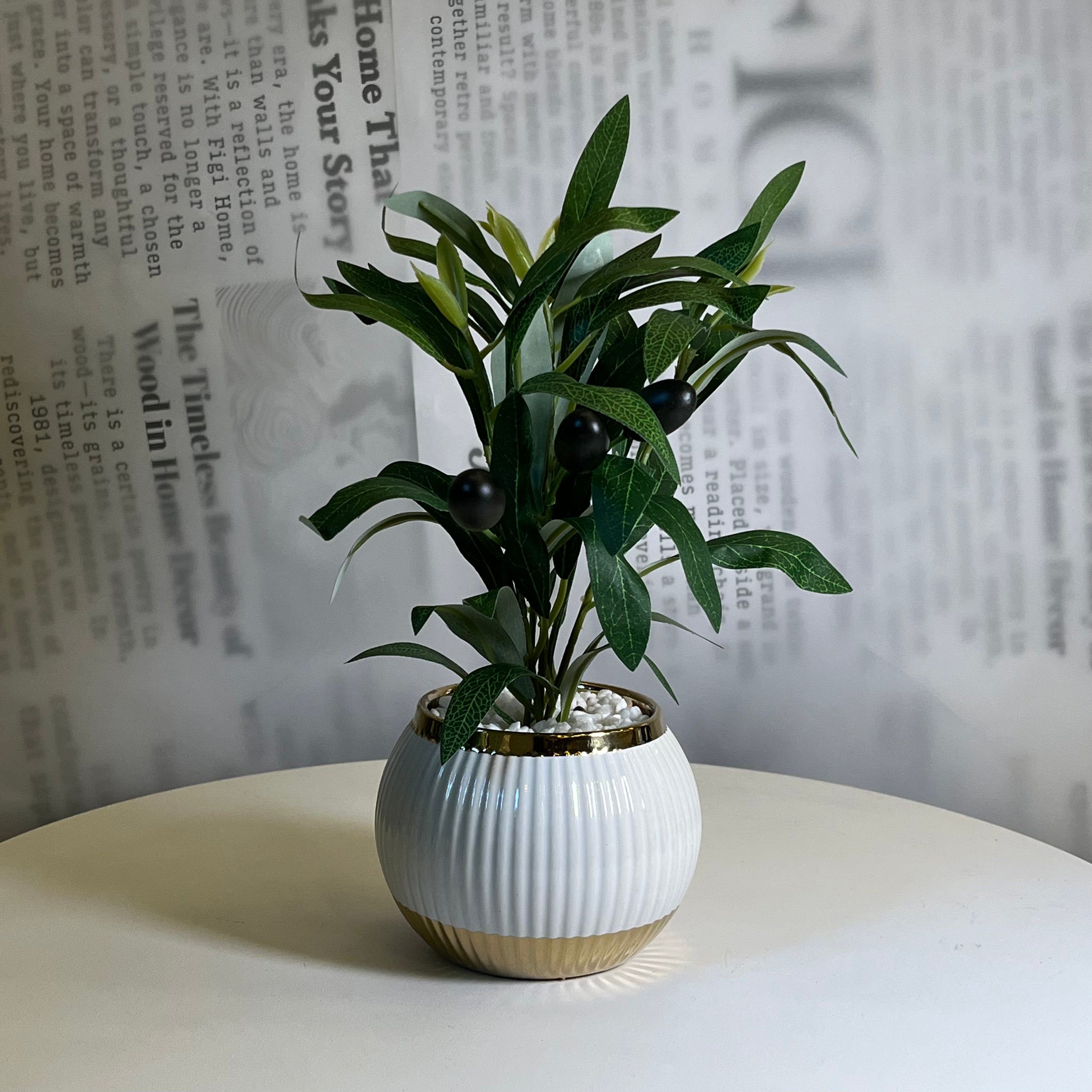 Serene Olive Pot - Figi Home