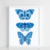 Blue Butterflies Trio - Figi Home