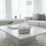 Cloud Chrome Tissue Box - Figi Home