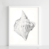 Coastal Whisper - Figi Home