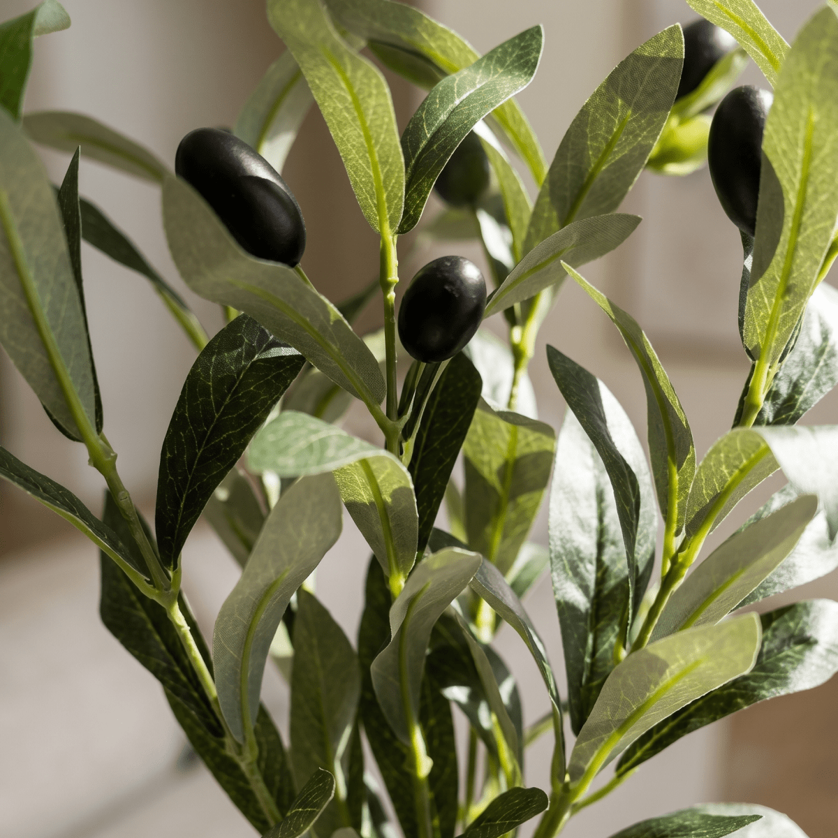 Dimple White Mini Olive Branch Pot - Figi Home