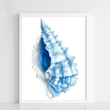 Ocean Whisper