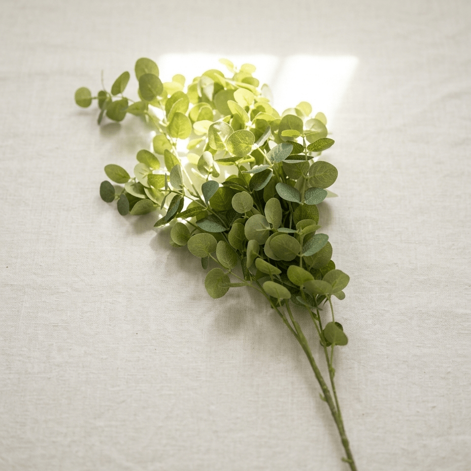 Eucalyptus Stem - Figi Home