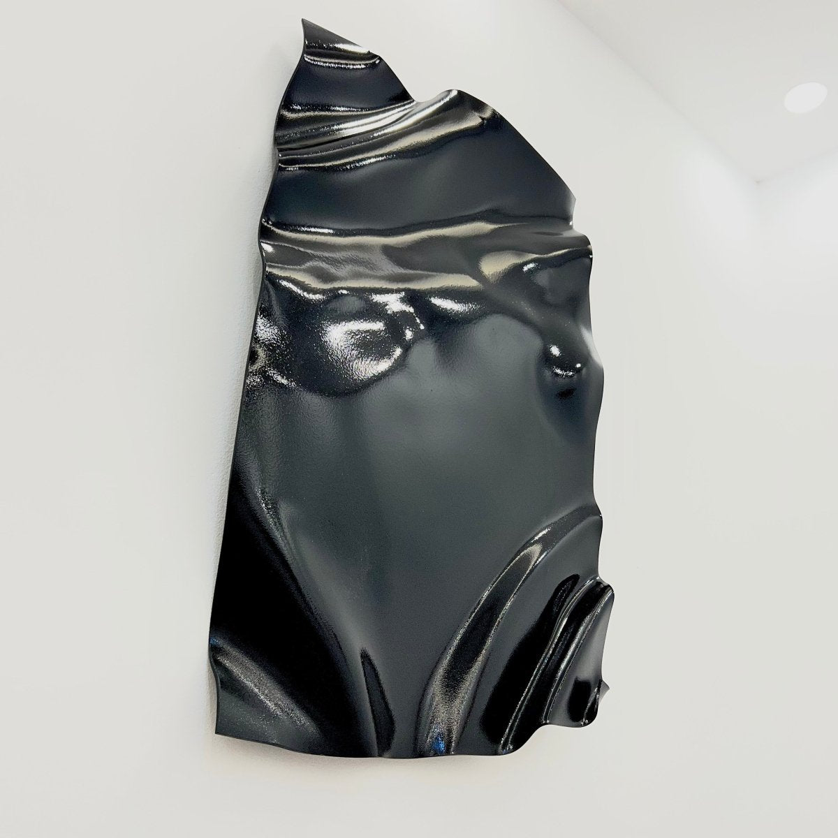 Glossy Black Wall Art - Figi Home