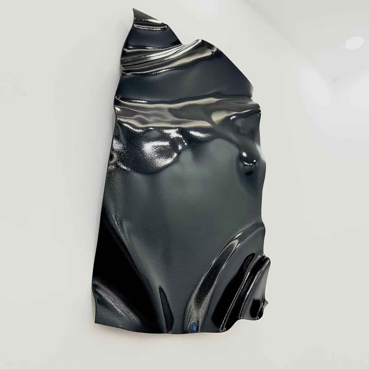 Glossy Black Wall Art