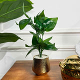 Golden Serenity Bundle - Figi Home