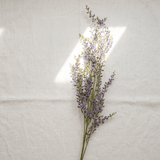 Lavender Sprig Artificial Branch - Figi Home