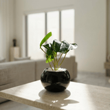 Midnight Leaf Planter - Figi Home