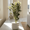 Midnight Olive Planter - Figi Home