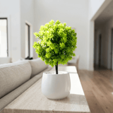 Mini Bonsai Pot - Figi Home