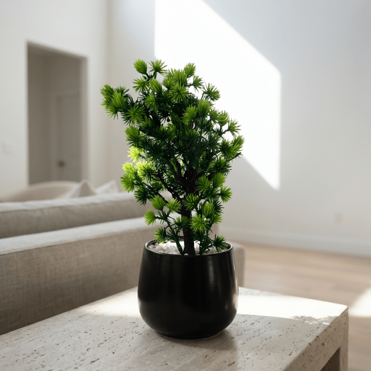 Mini Pine Bonsai Pot - Figi Home