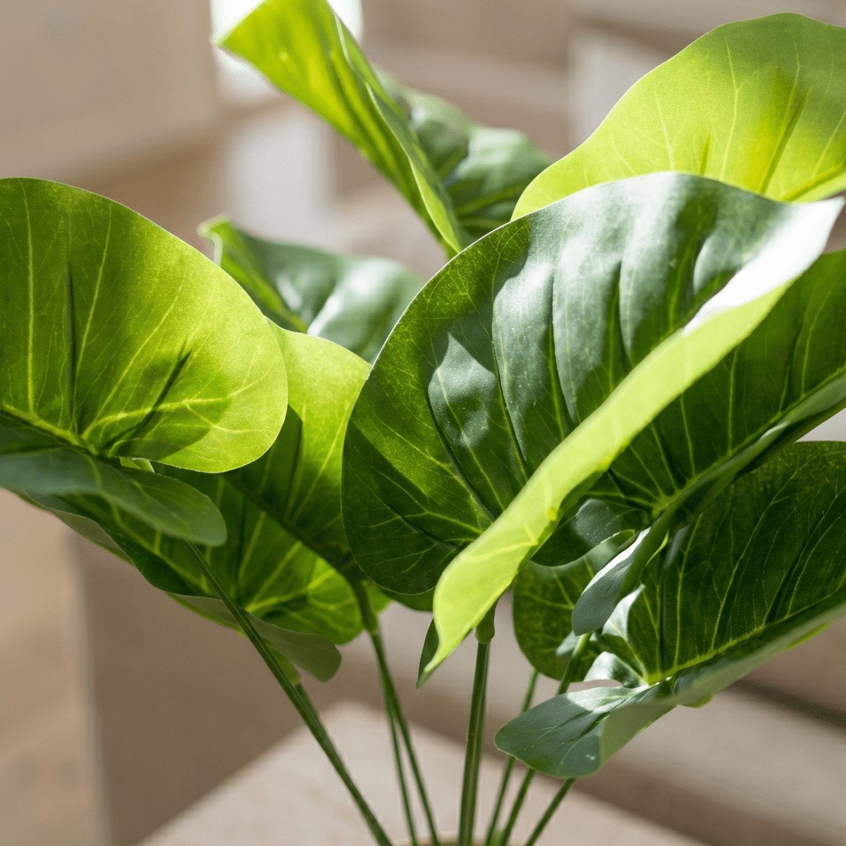 Mini Taro Leaf Pot - Figi Home