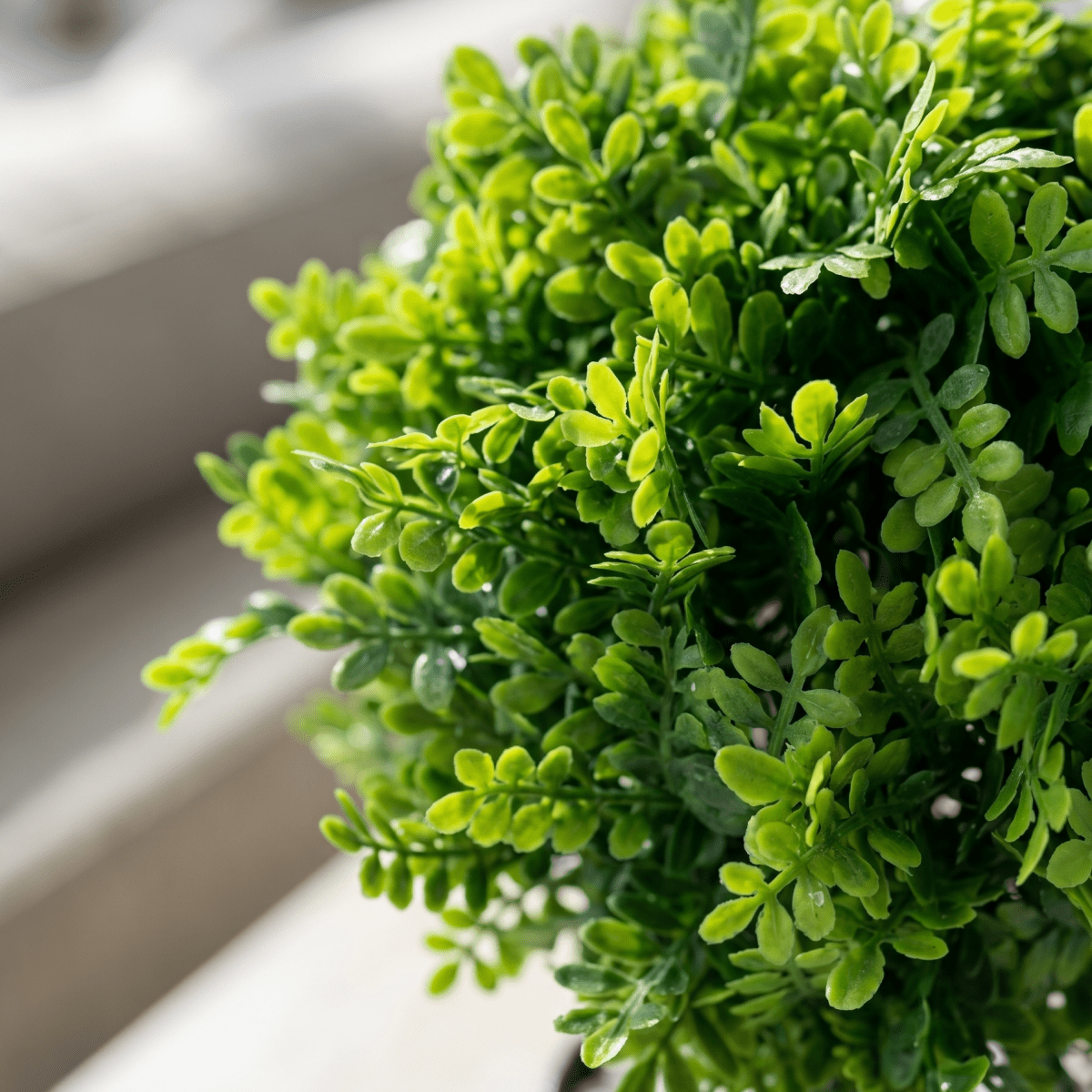 Mini Topiary Pot - Figi Home