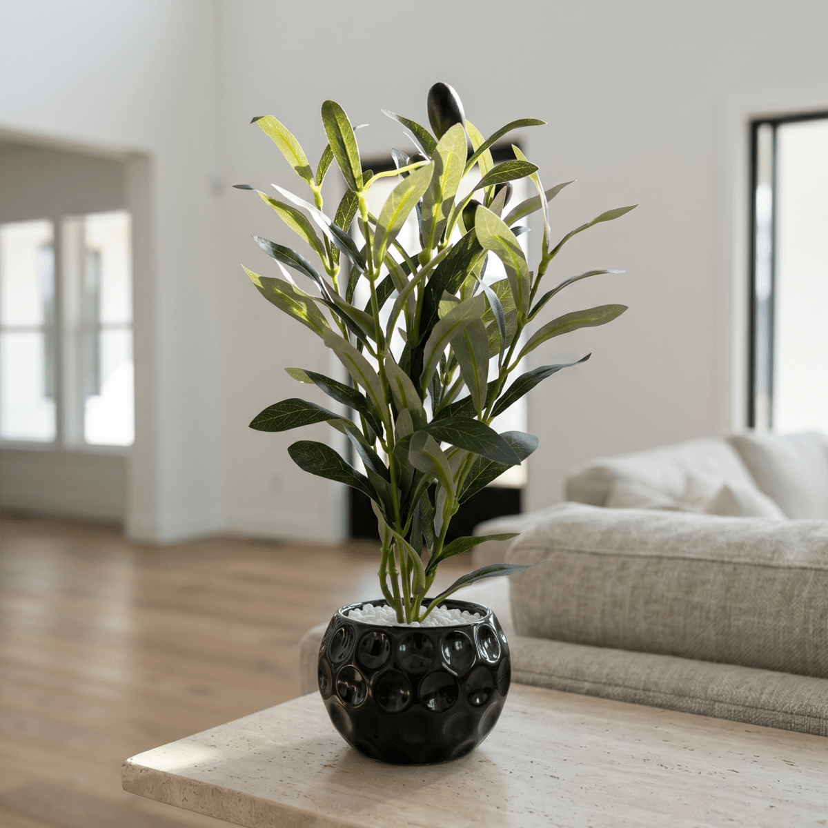 Obsidian Olive Planter - Figi Home