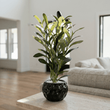 Obsidian Olive Planter - Figi Home