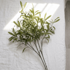 Olive Stems - Figi Home