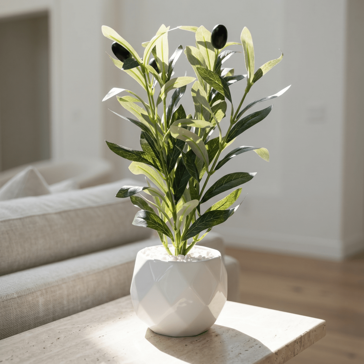 Olive Touch Planter - Figi Home