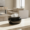 Glossy Oval Tissue Box