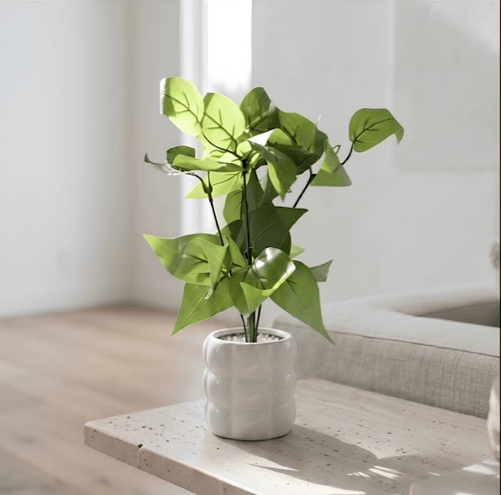 Ribbed Black Mini Pothos Pot - Figi Home