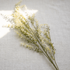 Spring Blossom Artificial Branch - Figi Home
