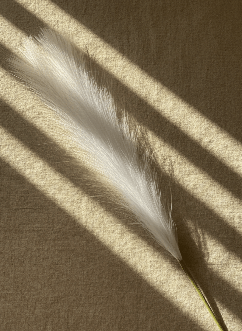 Tall Pampas Grass Stem - Figi Home