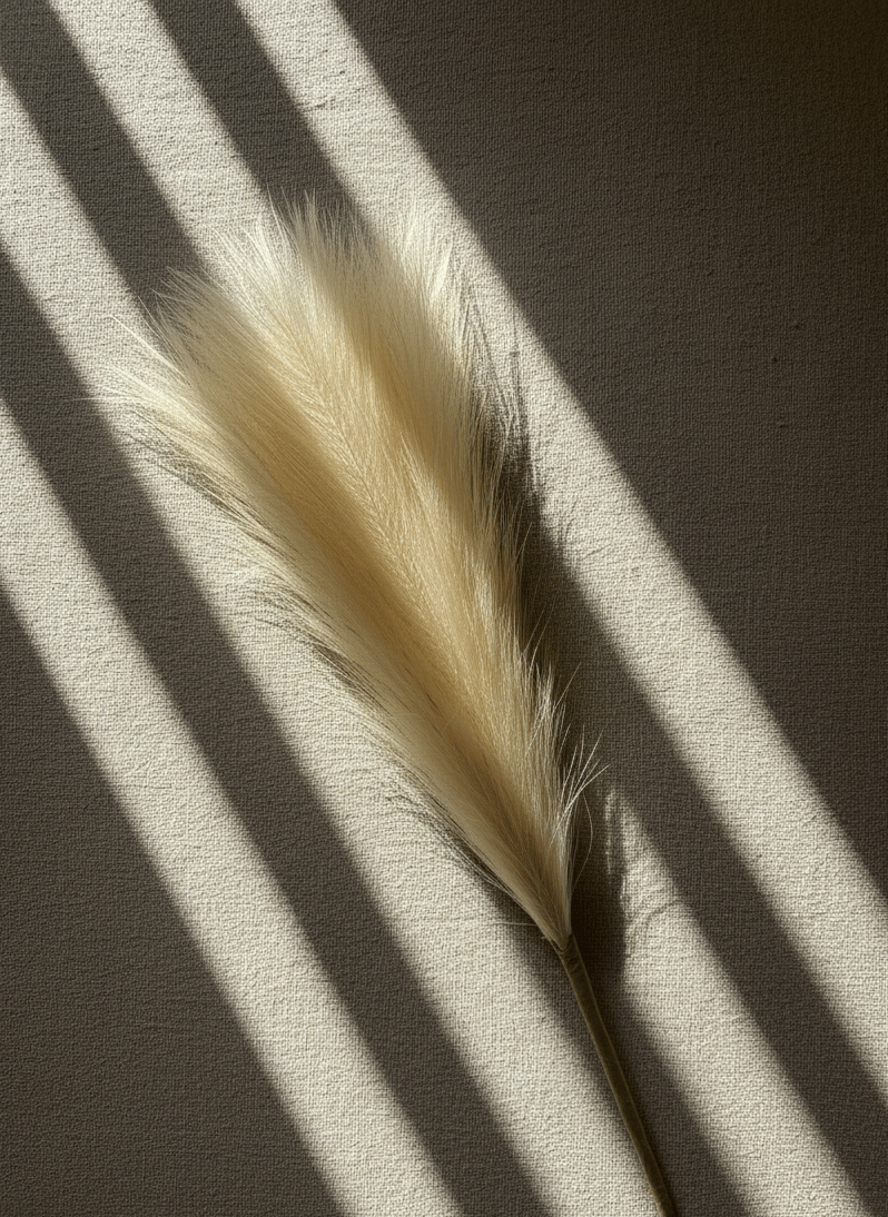 Tall Pampas Grass Stem - Figi Home