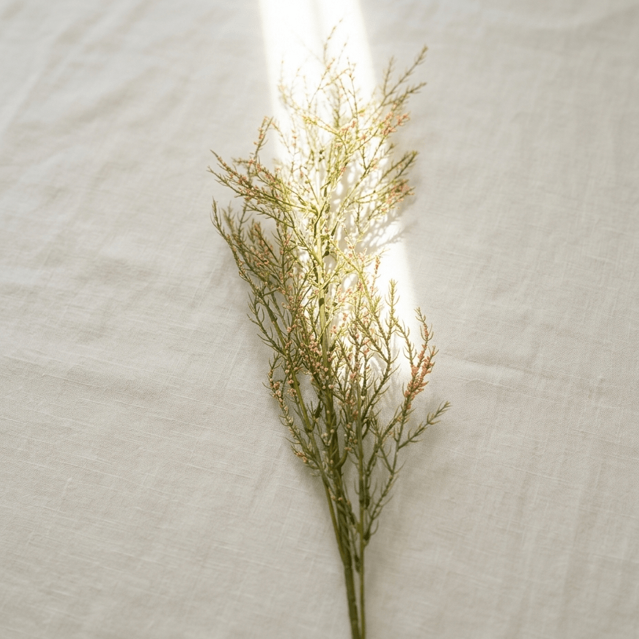 Wax Flower Stem - Figi Home