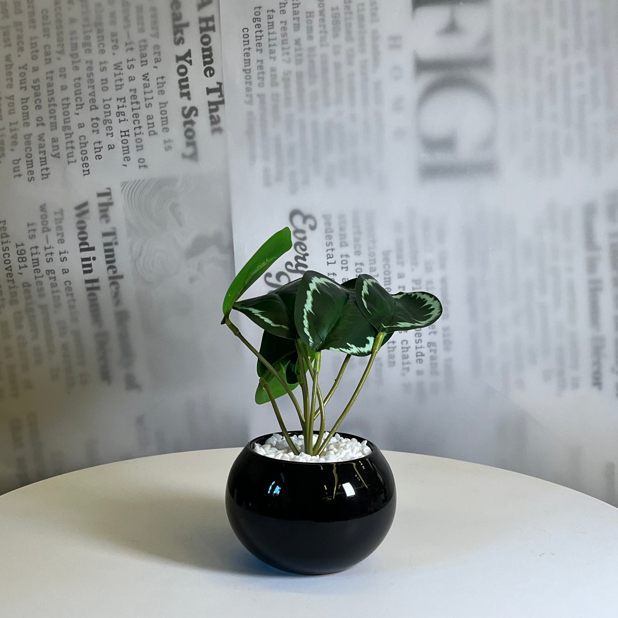 Midnight Leaf Planter - Figi Home