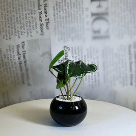 Midnight Leaf Planter - Figi Home