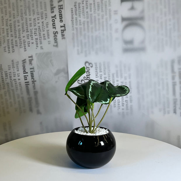 Midnight Leaf Planter - Figi Home