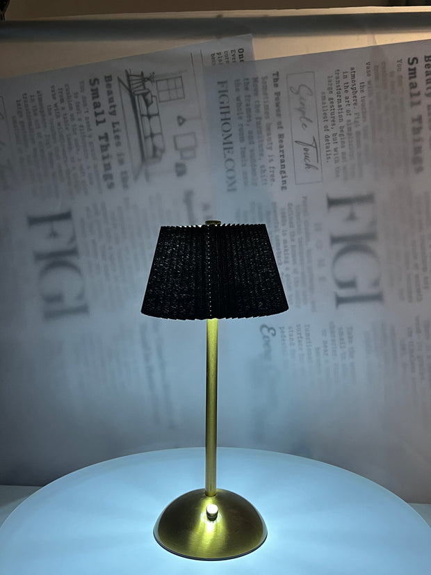 NOIR Pleated Brass Lam