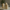 Desert Sand Vase Set