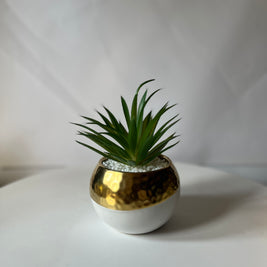Gold Rim Succulent Pot