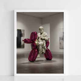 Socratic Balloon Ride - Figi Home