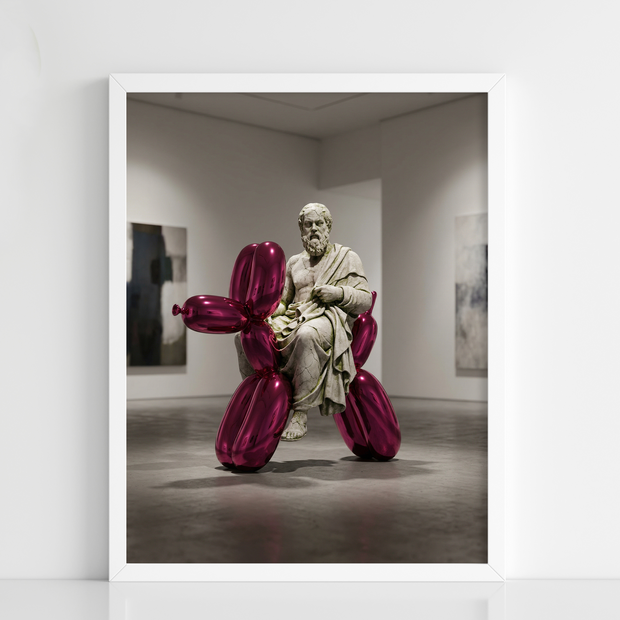 Socratic Balloon Ride - Figi Home