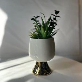 Eros Pedestal Planter