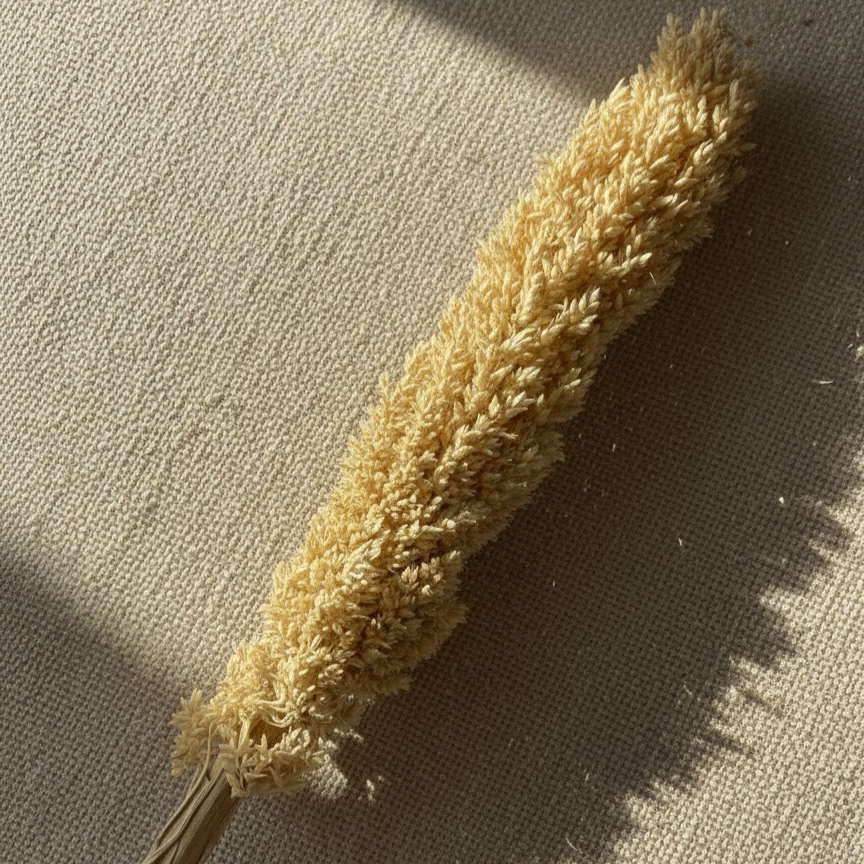 Sola Bloom Stem